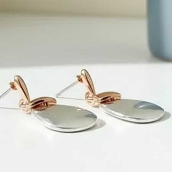 🖤 Gold Silver Earrings  - Picture 6 of 8